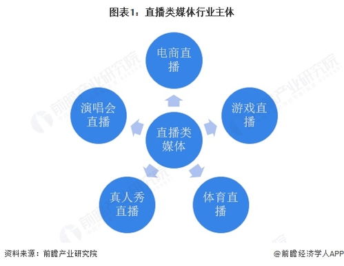 2025年中國傳媒行業(yè)細分市場分析 技術賦能與垂類深耕驅動下的網(wǎng)絡技術開發(fā)生態(tài)